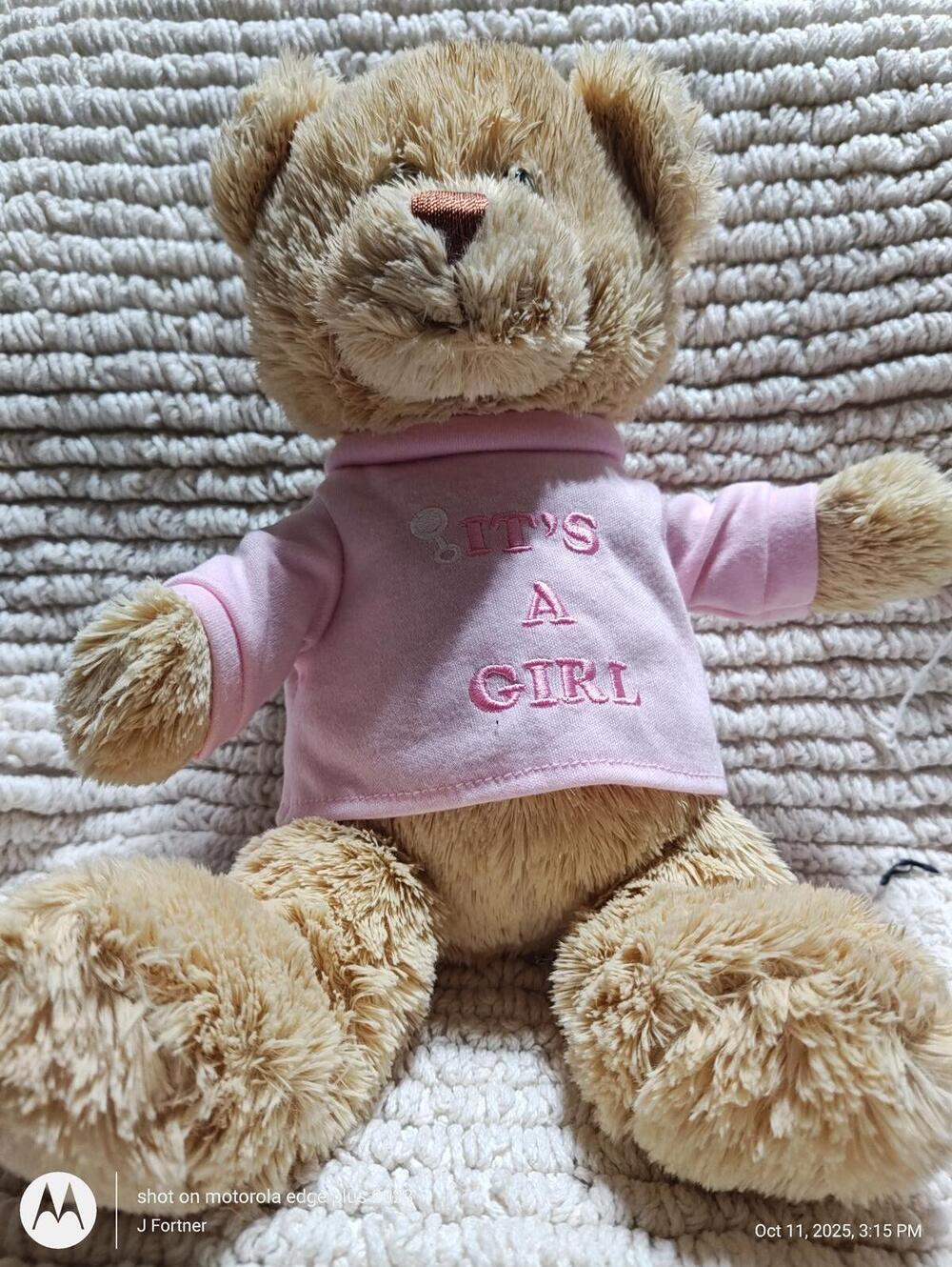 Gund Bear Hugs It’s a Girl Teddy Bear Soft Plush Lovey Stuffed Animal 015419